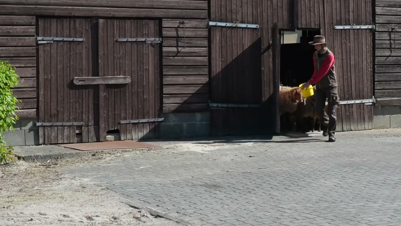 Blind und Landwirt