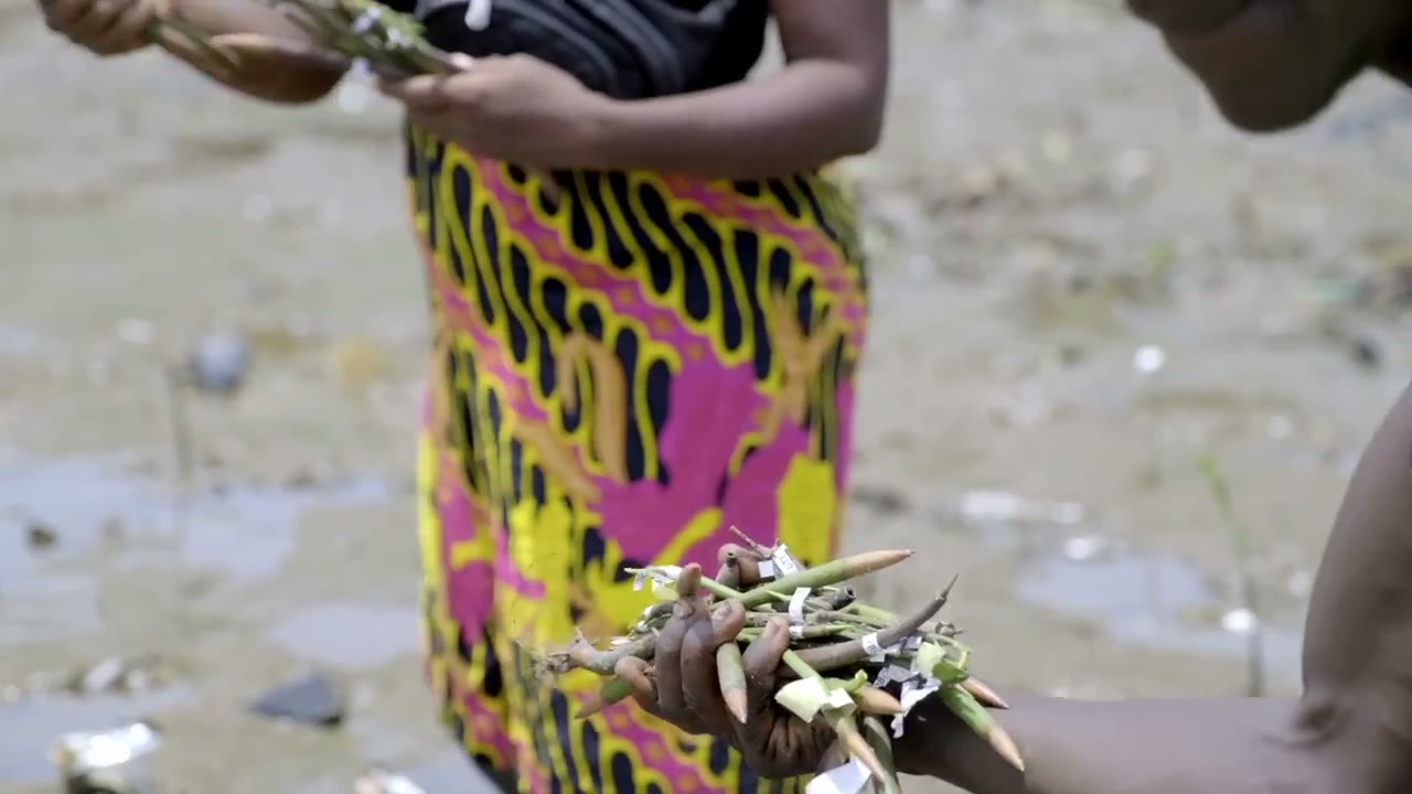 Klimawandel: Warum Freetown