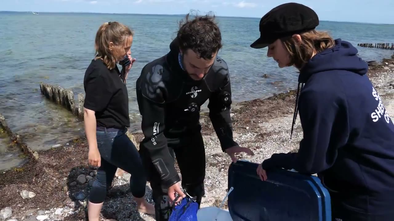 Hobby-Gärtner im Einsatz