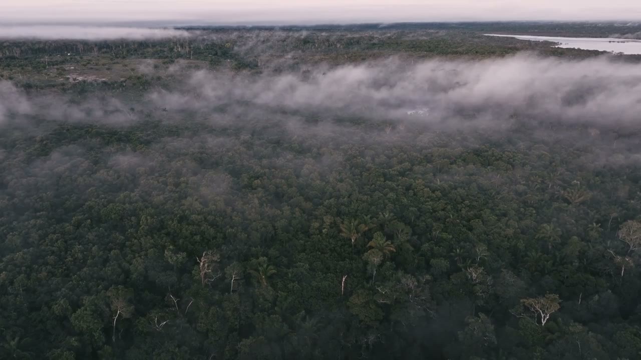 Weltklimakonferenz in Brasilien: