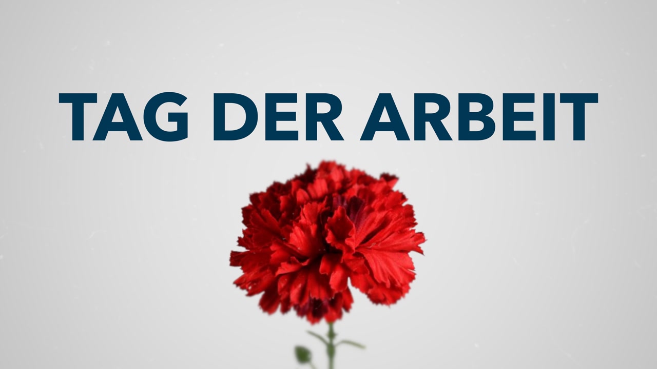epd erklärt: Tag
